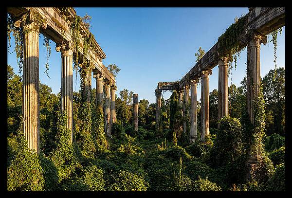 Windsor Ruins Overgrown Serenity