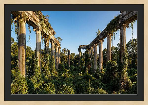 Windsor Ruins Overgrown Serenity