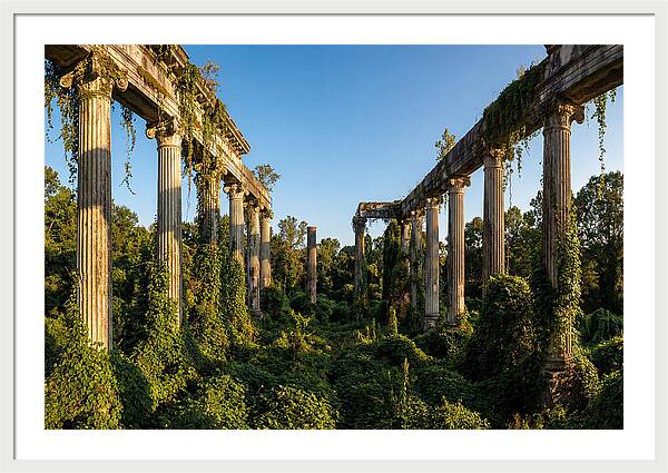 Windsor Ruins Overgrown Serenity