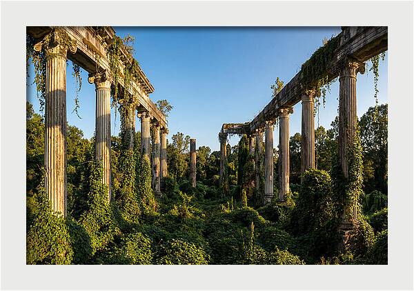 Windsor Ruins Overgrown Serenity