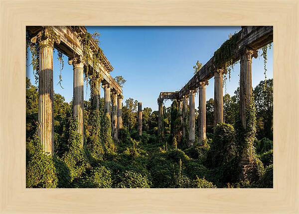 Windsor Ruins Overgrown Serenity