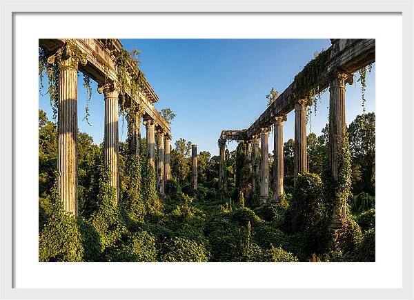 Windsor Ruins Overgrown Serenity