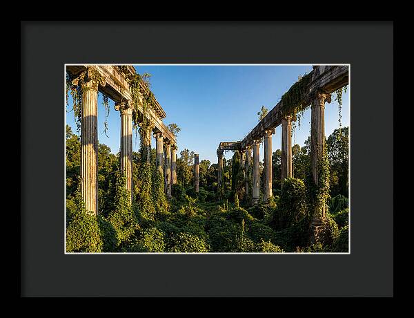 Windsor Ruins Overgrown Serenity