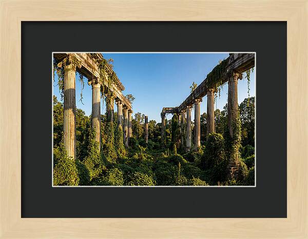 Windsor Ruins Overgrown Serenity