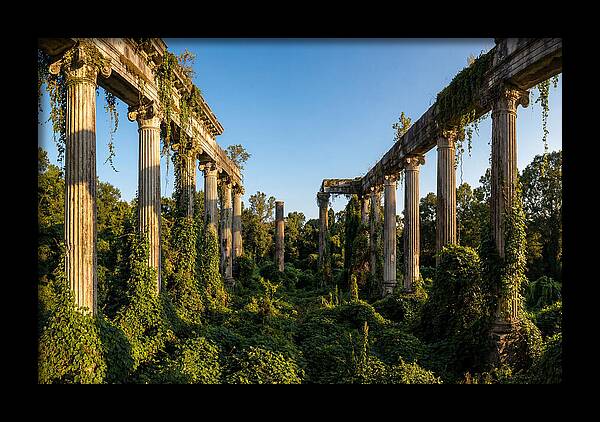 Windsor Ruins Overgrown Serenity