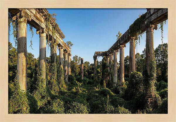 Windsor Ruins Overgrown Serenity