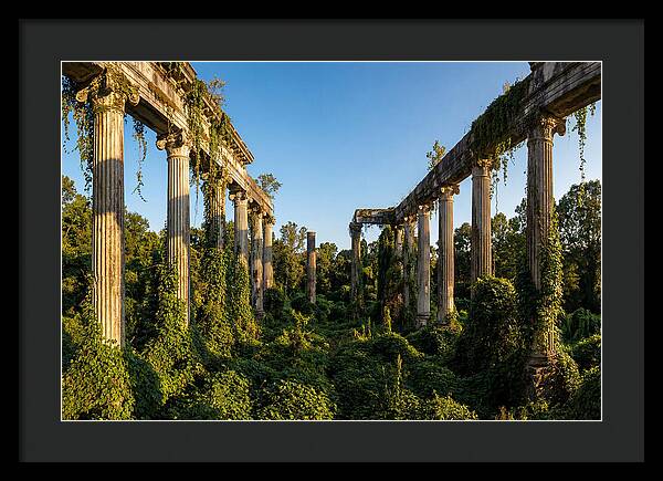 Windsor Ruins Overgrown Serenity