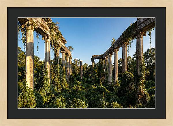 Windsor Ruins Overgrown Serenity