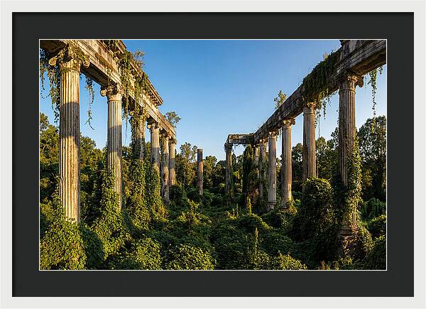 Windsor Ruins Overgrown Serenity