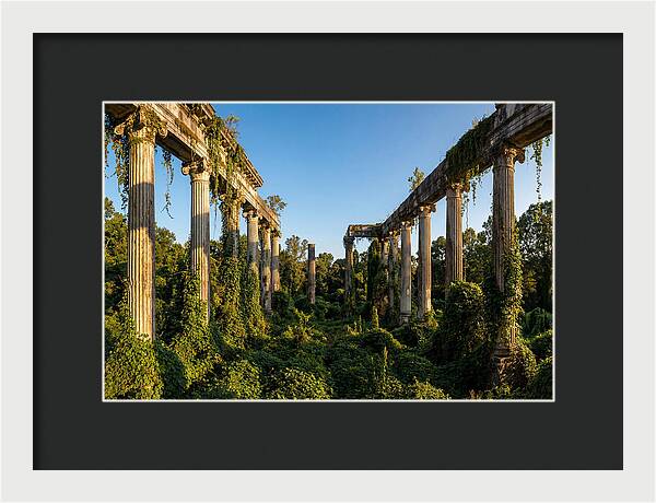 Windsor Ruins Overgrown Serenity