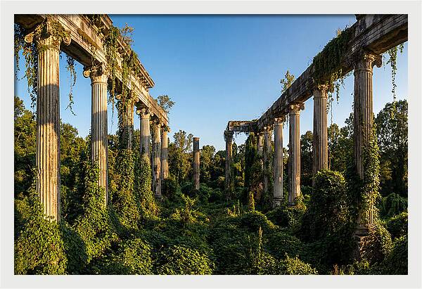 Windsor Ruins Overgrown Serenity