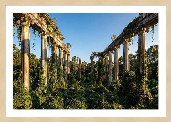 Windsor Ruins Overgrown Serenity