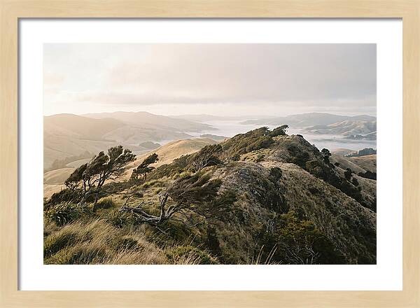 Windswept Ridge Overlooking Distant Valleys