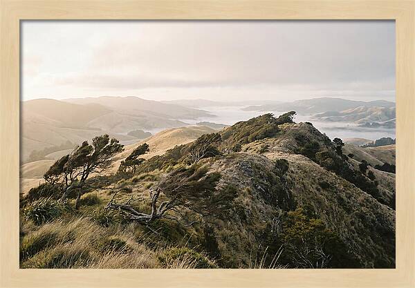 Windswept Ridge Overlooking Distant Valleys