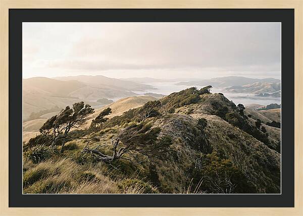 Windswept Ridge Overlooking Distant Valleys