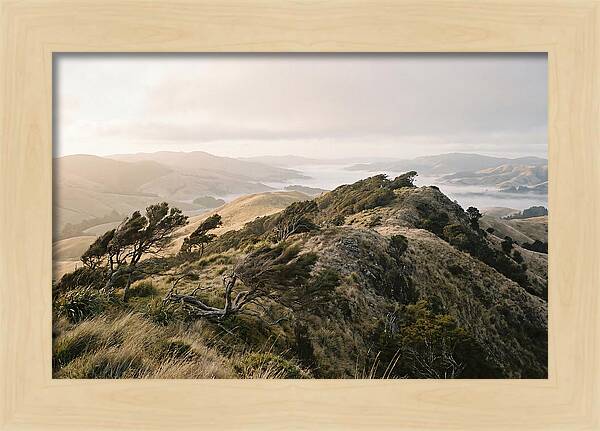 Windswept Ridge Overlooking Distant Valleys