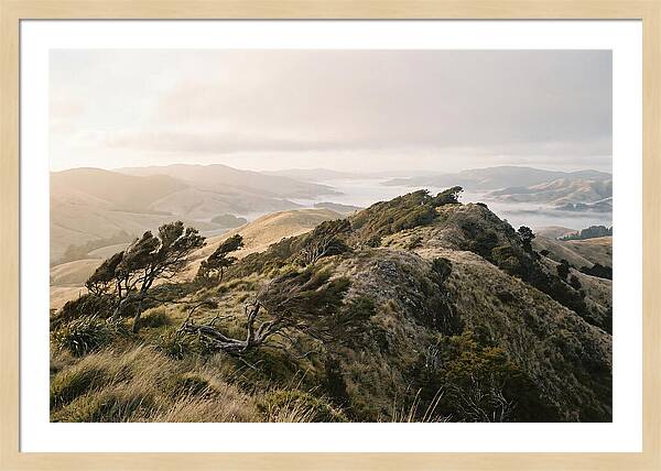 Windswept Ridge Overlooking Distant Valleys