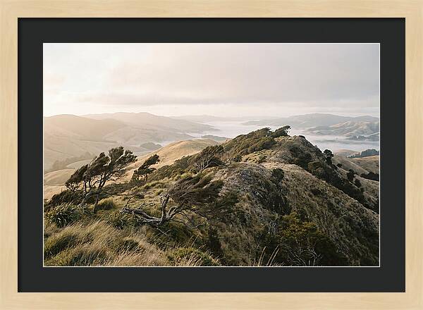 Windswept Ridge Overlooking Distant Valleys