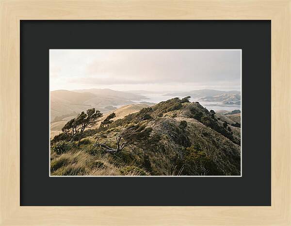 Windswept Ridge Overlooking Distant Valleys