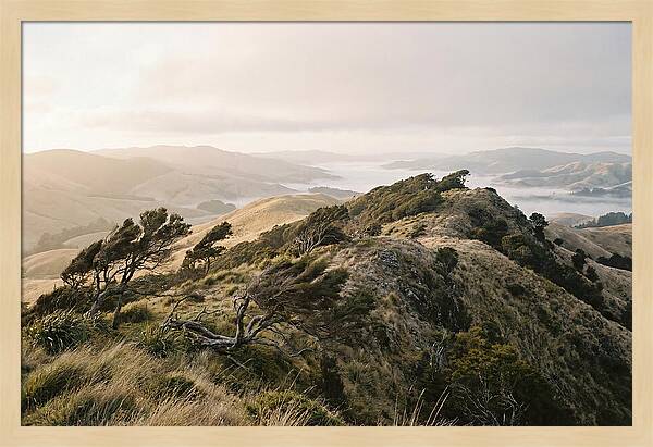 Windswept Ridge Overlooking Distant Valleys