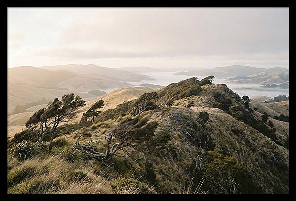 Windswept Ridge Overlooking Distant Valleys