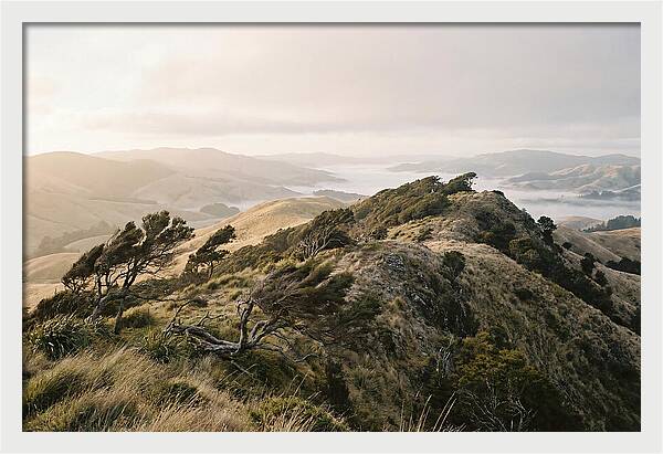 Windswept Ridge Overlooking Distant Valleys