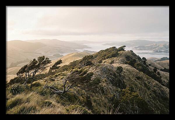 Windswept Ridge Overlooking Distant Valleys