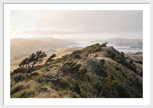 Windswept Ridge Overlooking Distant Valleys