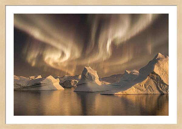 Winter Aurora Over Icebergs