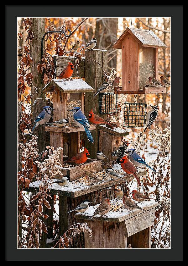 Winter Bird Feeding Station
