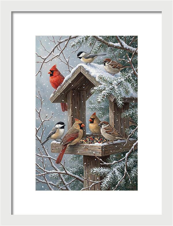 Winter Birds Gathering Around Feeder