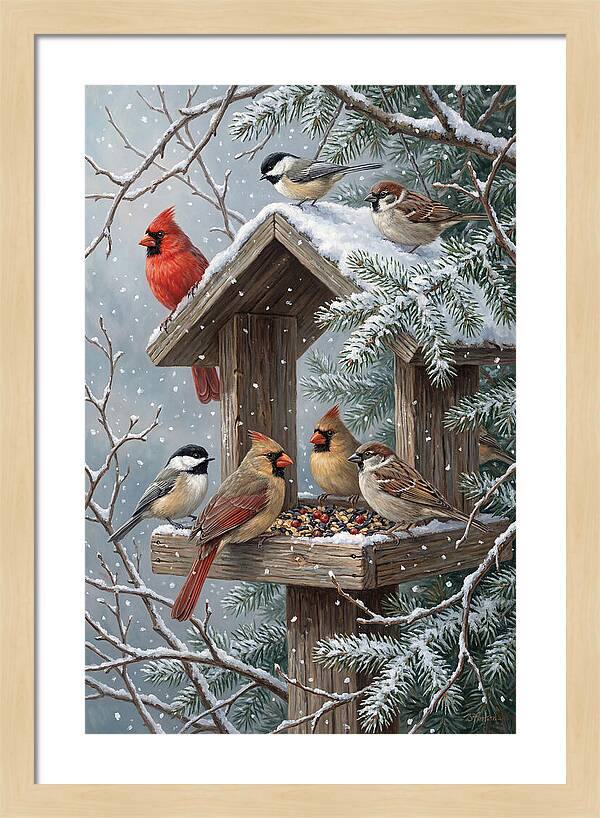 Winter Birds Gathering Around Feeder