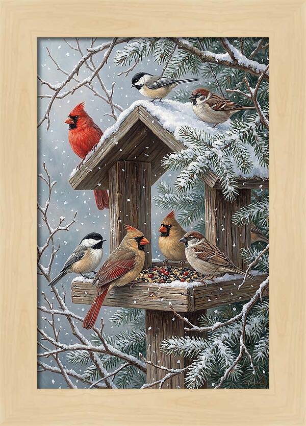 Winter Birds Gathering Around Feeder