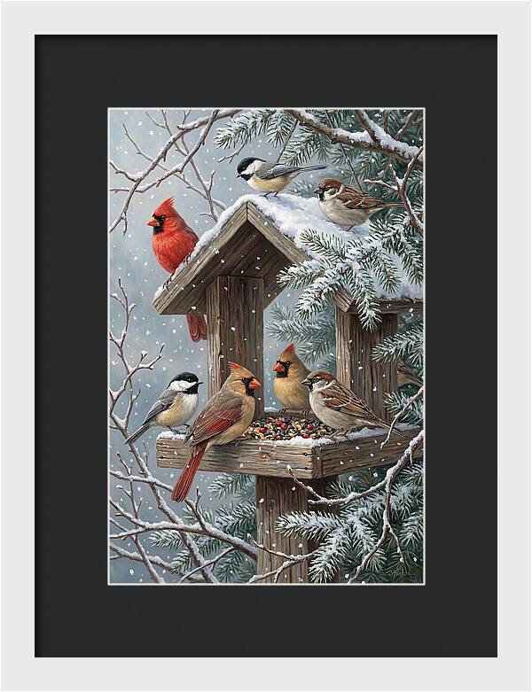 Winter Birds Gathering Around Feeder