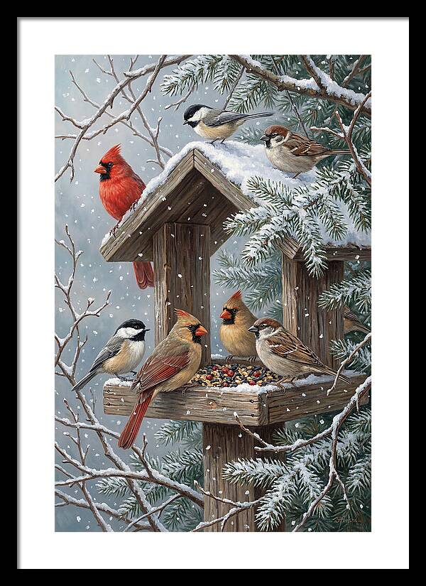 Winter Birds Gathering Around Feeder