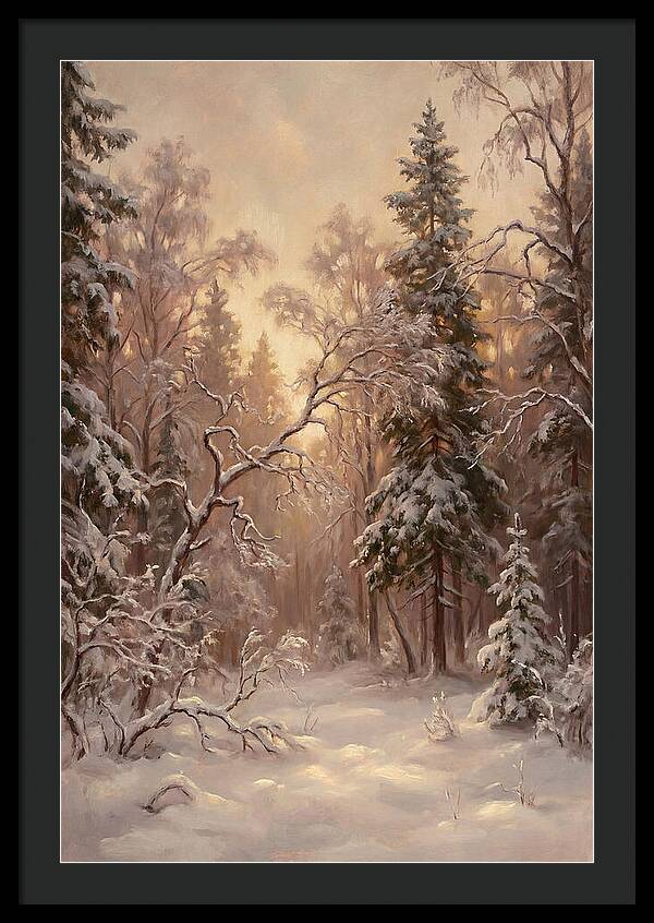 Winter Forest Scene