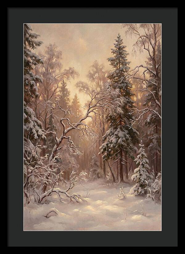 Winter Forest Scene