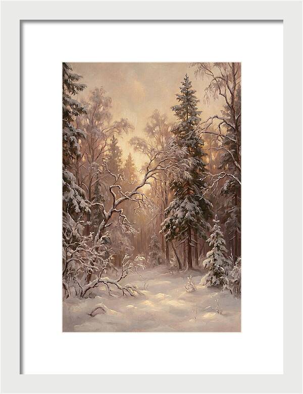 Winter Forest Scene