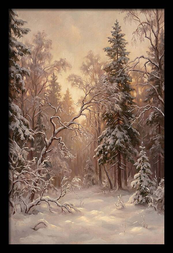 Winter Forest Scene