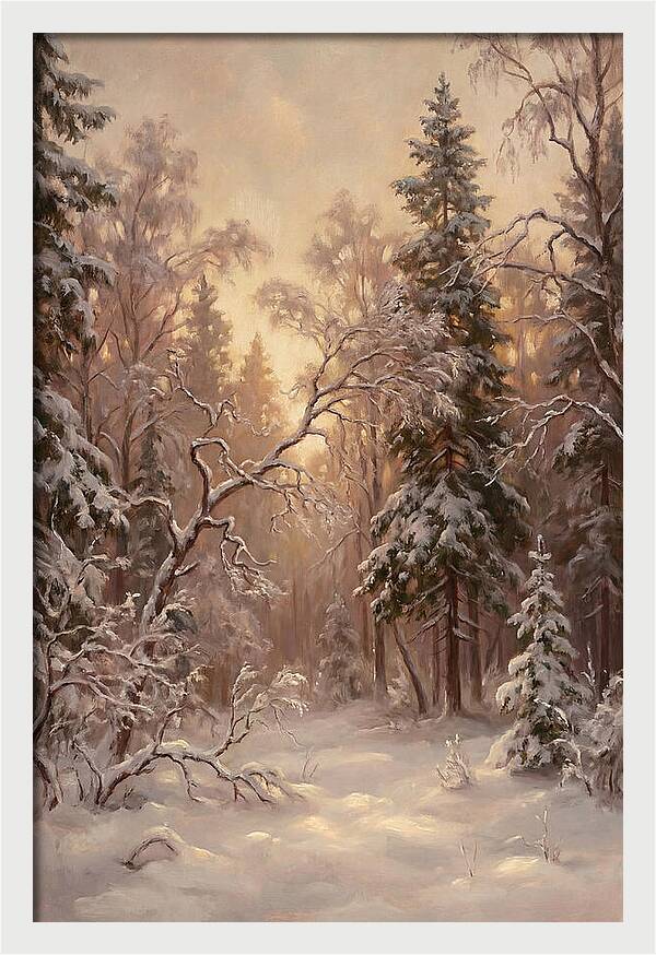 Winter Forest Scene