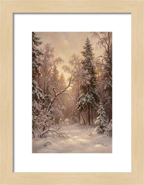 Winter Forest Scene