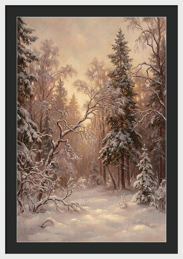 Winter Forest Scene