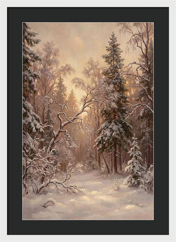 Winter Forest Scene