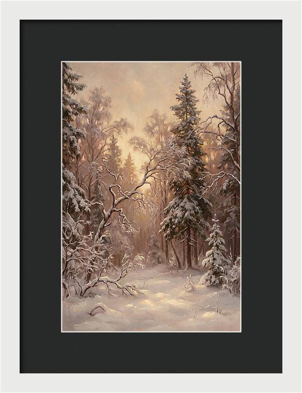 Winter Forest Scene