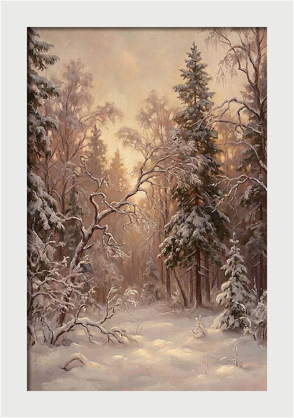 Winter Forest Scene