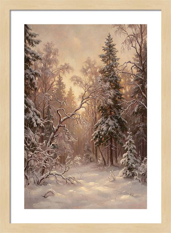 Winter Forest Scene