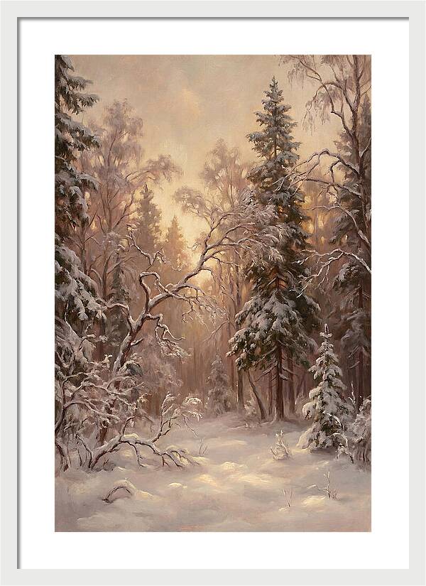 Winter Forest Scene