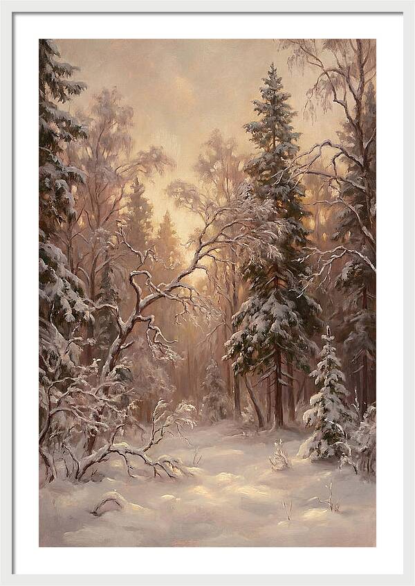 Winter Forest Scene
