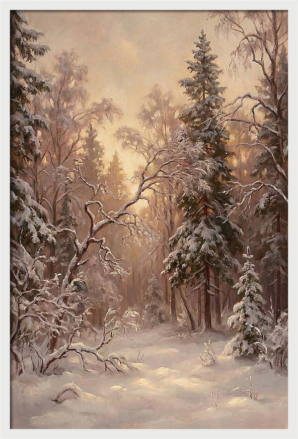 Winter Forest Scene