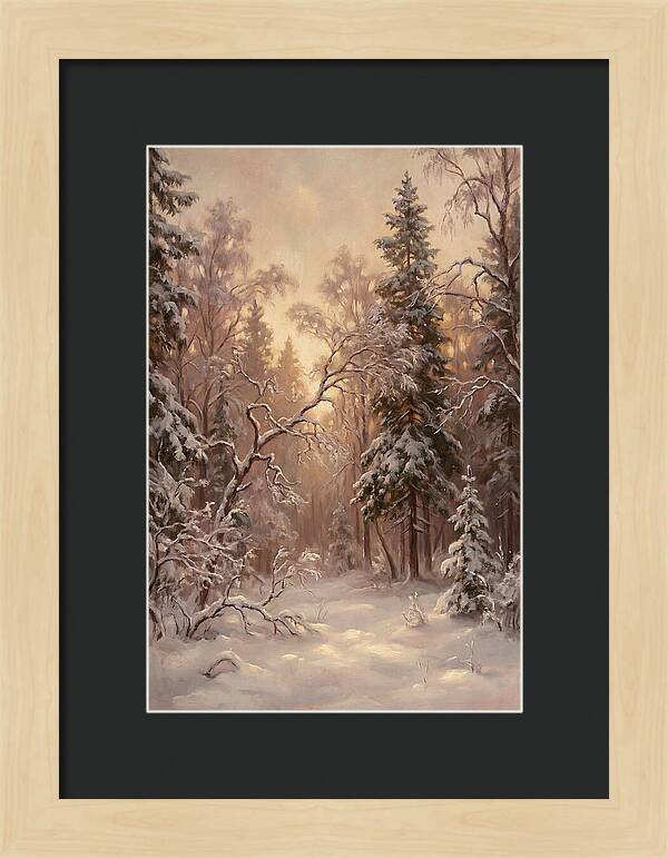 Winter Forest Scene
